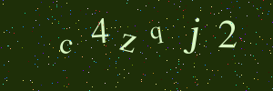 Validation image